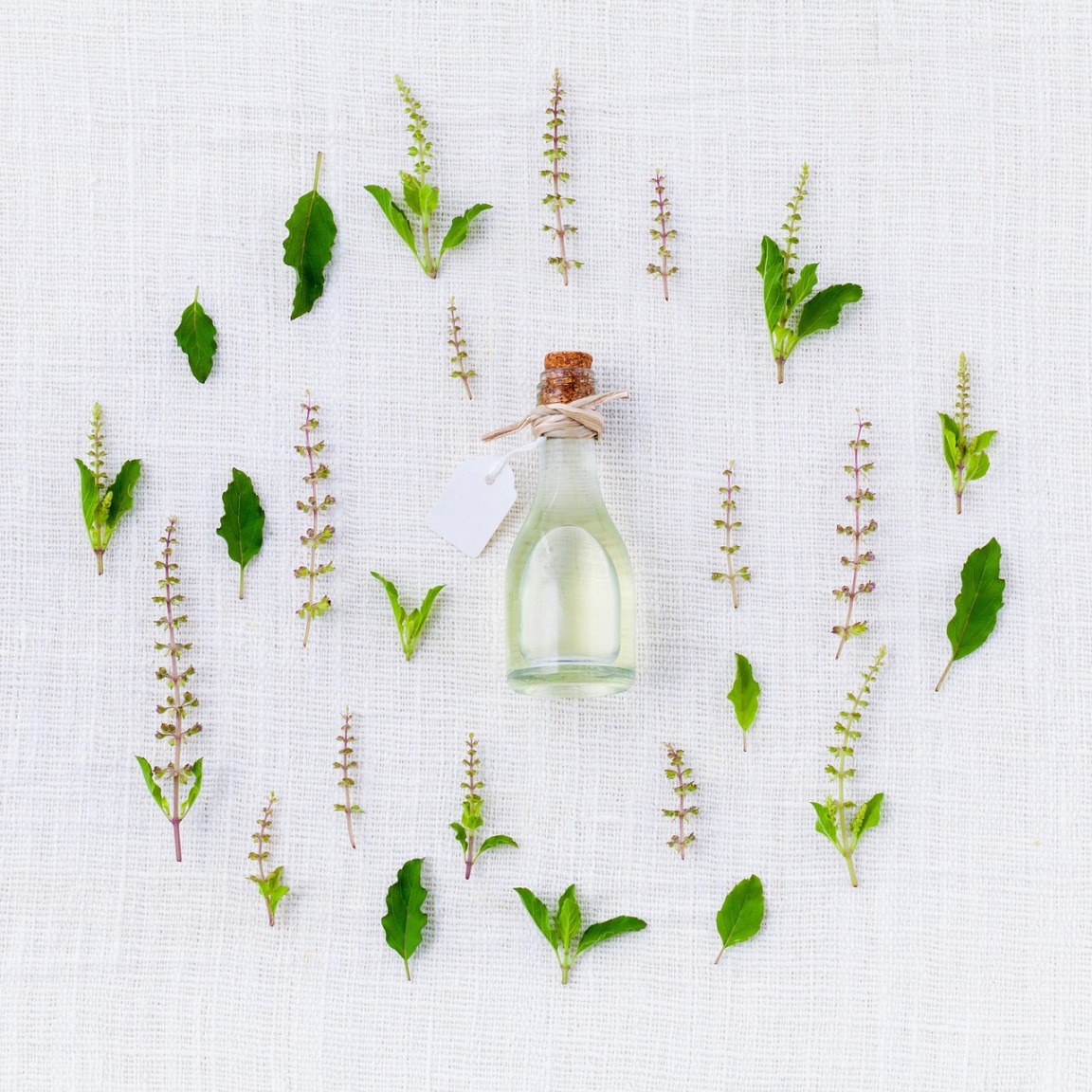 essential oil distillation aromatic herbs